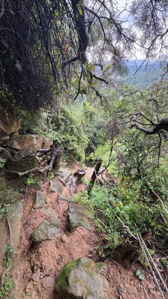 大雨後🙄2845409