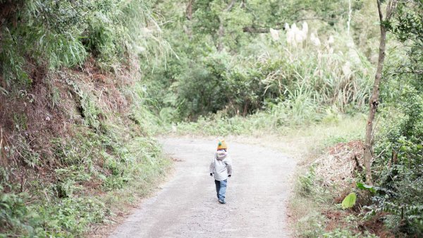 四歲小樂的第28座小百岳-桃園石門山1200458