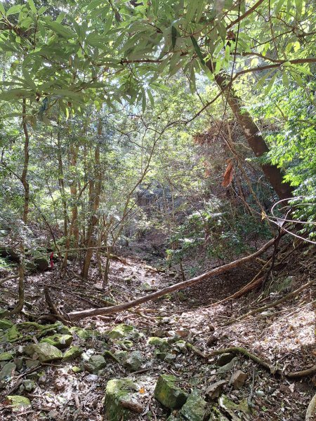 雪見駐在所+雪見山202512252971633