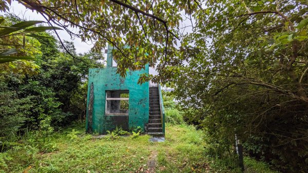 南港四分溪,三重埔埤濕地復育,大坑溪2502956