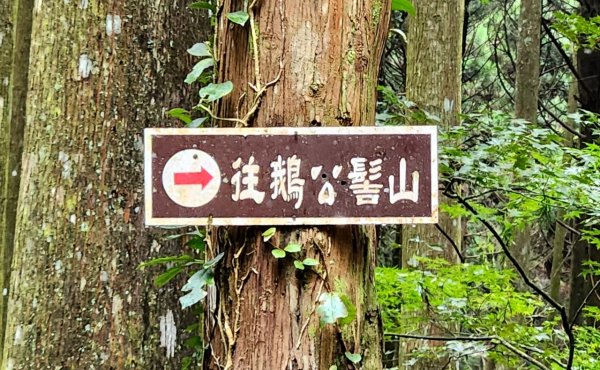 【中級山】有一種美，令人不想回家，新竹鵝公髻山2744658