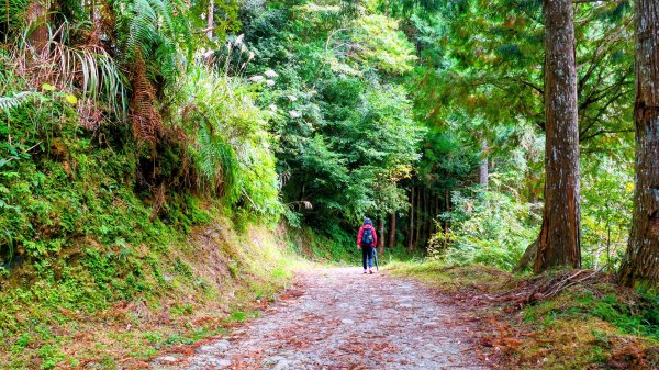 油羅山(一上三下)2959196