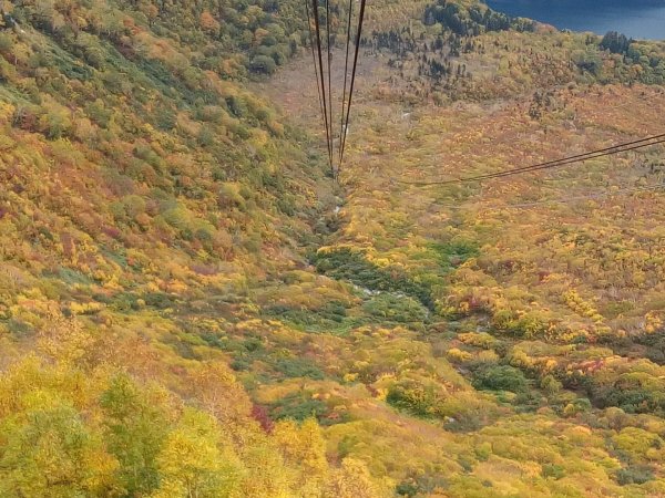 黑部立山秋行2933326