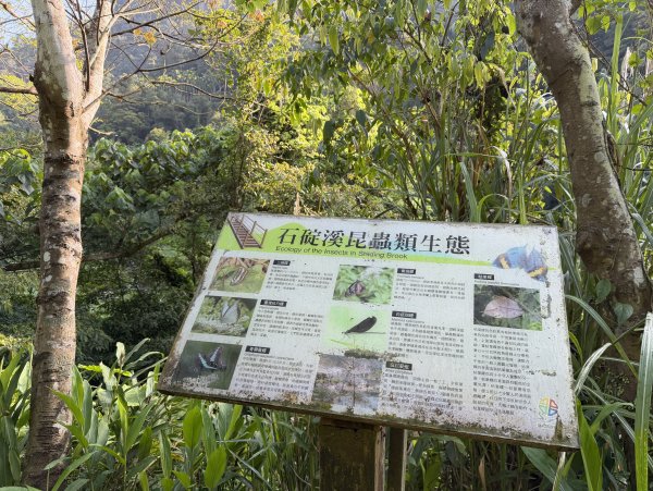 [淡蘭古道] 2026_0315 南路第二段_外按古道3016438