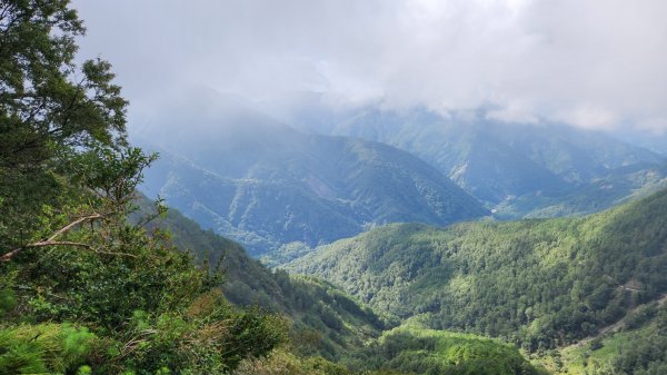 玉山前峰，關子嶺大凍山，宜蘭拳頭姆自然步道2313386