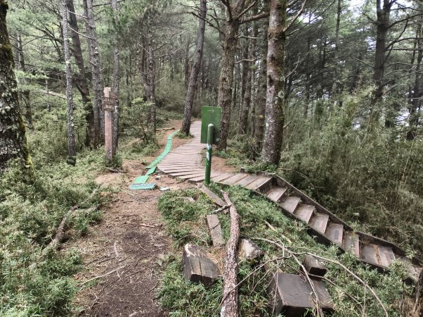 [玉山尋寶任務-08/12] 2025_0824 鹿林山步道_鹿林前山2870924