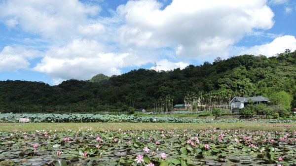 東北角風景區/上山下海趣31063965