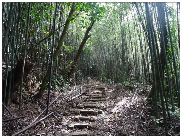 馬那邦山(小百岳)/上湖登山口2427070