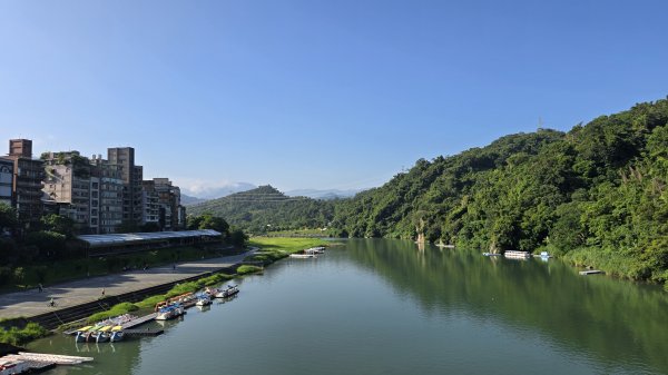 一次解鎖二任務，山頂鳥百山百鳥及新北市微笑山線和美山螢火蟲段2859418