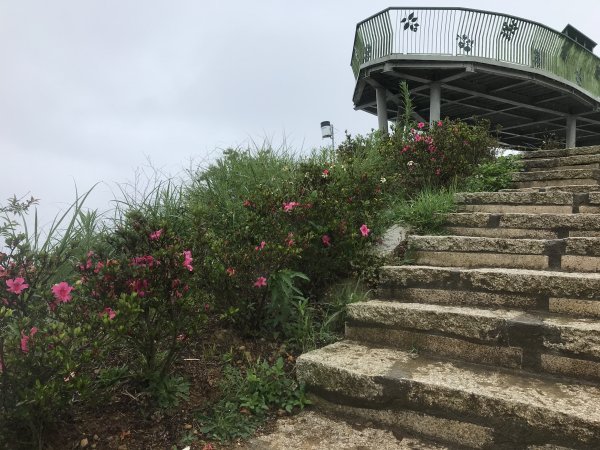 110年4月25日雲林  雲嶺之丘 五元二角 木馬古道1456576