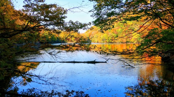 秋田縣白神山地十二湖2929773