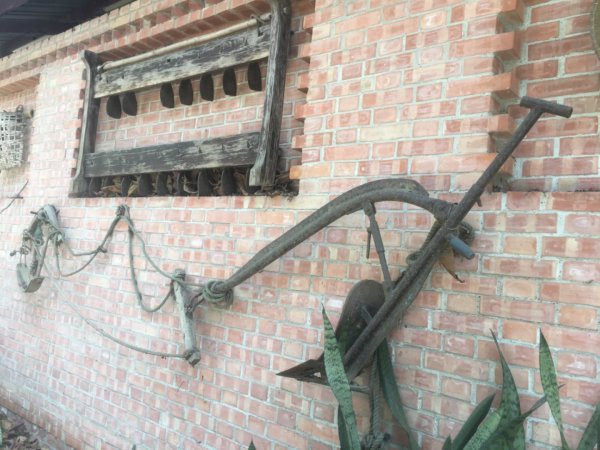 水牛城、百年土地公2036495