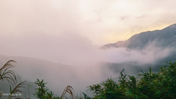 #陽明山 趴趴走12/12950339