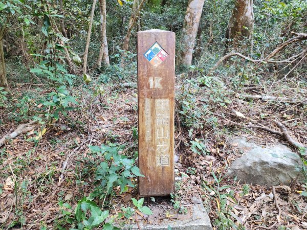 小百岳No.80⛰里龍山2776325