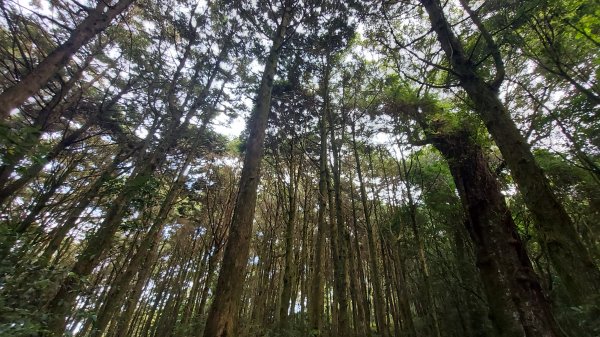 小雪山 船形 鞍馬 天池 啞口O型 1142104