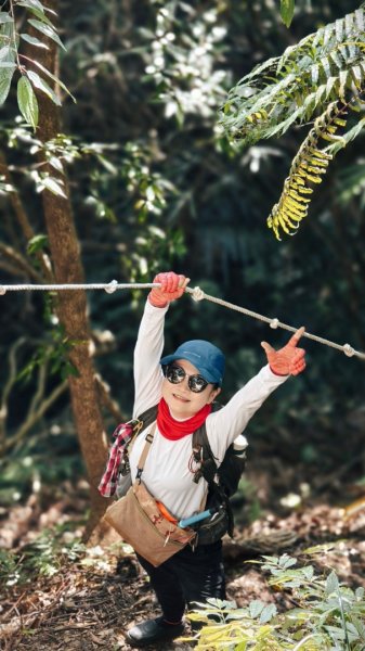 東勢大崙、東勢坑山、觀音湖山O走2986284