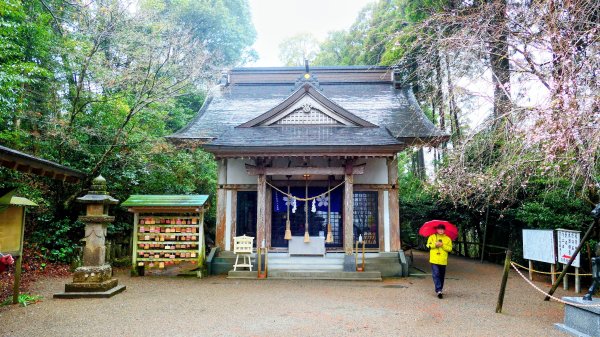 宮崎青島,母智丘,桷志田,櫻島,渡輪3027902