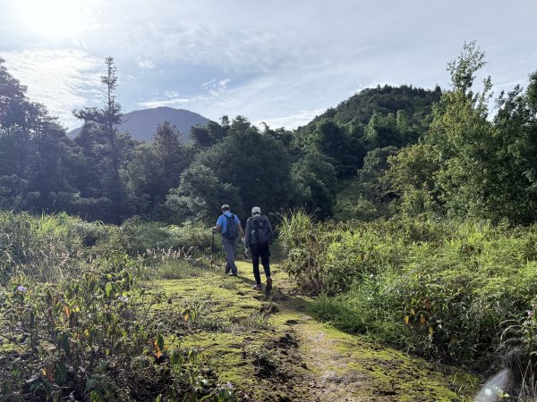 埔里登蜈蚣崙山、板仔寮山 2025.6.182815491