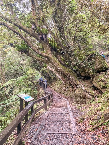 ＜新北市．三峽＞滿月圓國家森林遊樂區1004152