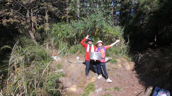 水漾森林、鹿屈山、眠月神木2729647