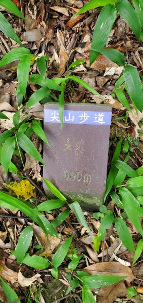 2024-06-15觀音山【福隆山、尖山(占山)登山步道】O走2528237