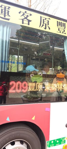 東勢林場森林浴場步道3019125