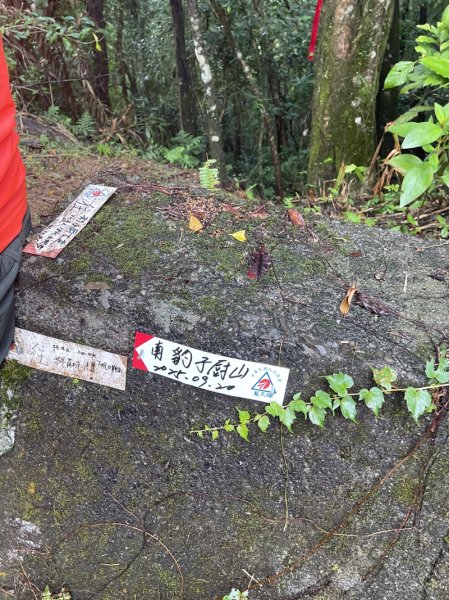 南北豹子廚山2925447