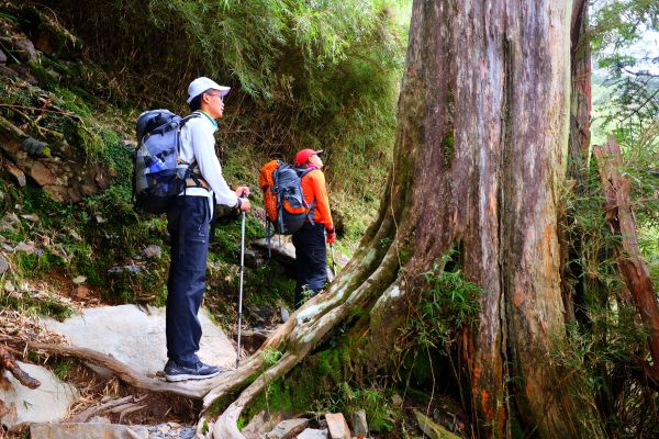 暑假帶家人登玉山主峰162163