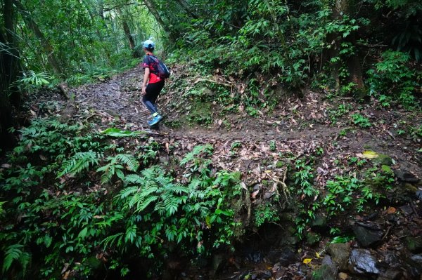 淡蘭古道中路O型988492