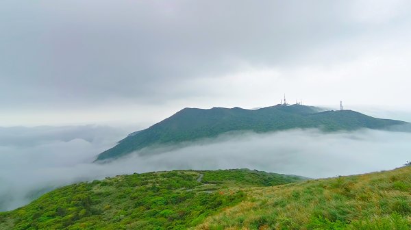 大屯山琉璃光雲海&雲瀑4/52472835