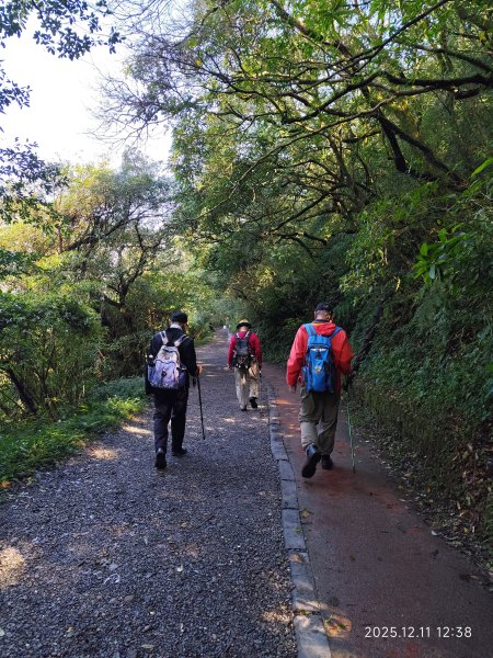 【臺北大縱走 2】【第二回合全程完成證書】鞍部→大屯山步道→大屯山主峰→大屯坪步道→二子坪步道2960419