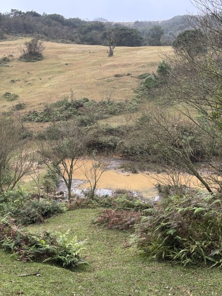 陽明山東西大縱走-東段2984524