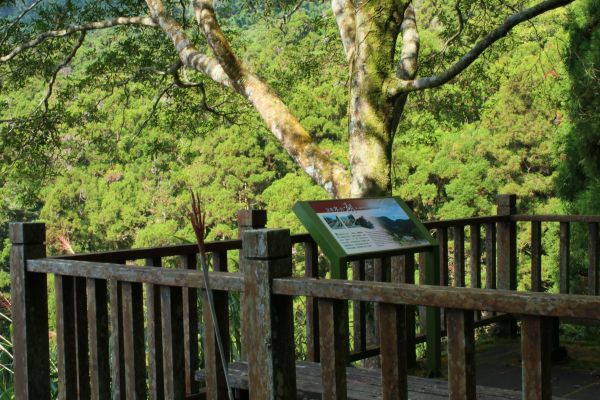 奮起湖步道194601