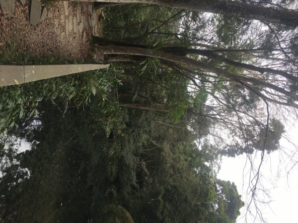 四十二份湧泉2723164