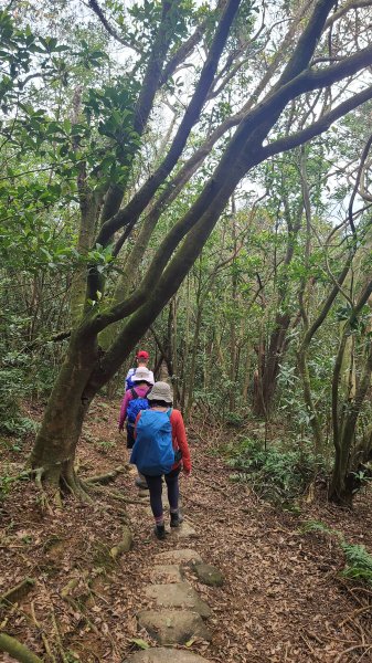 2025-01232淡蘭古道北二段(燦光寮古道到澳底)2696657