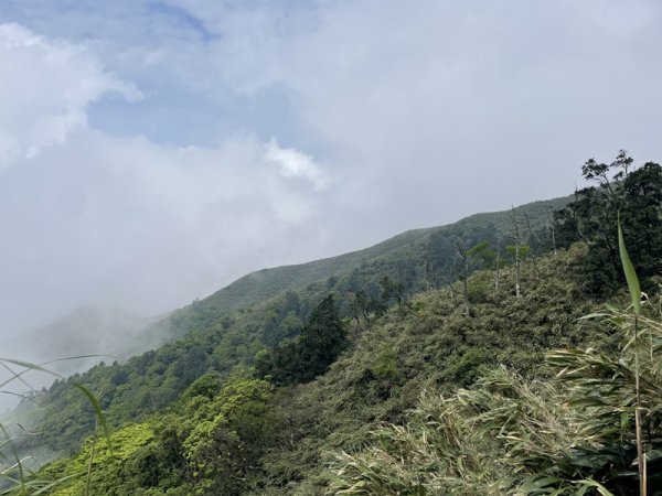 小觀音山西峰2488985