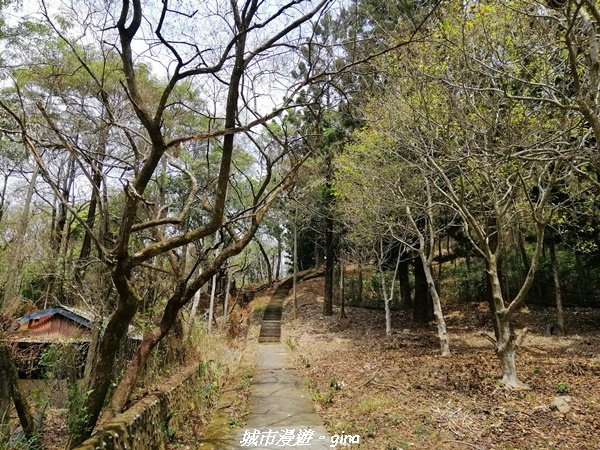 【南投。草屯】蜿蜒步道很親民。 中興新村虎山步道1383069