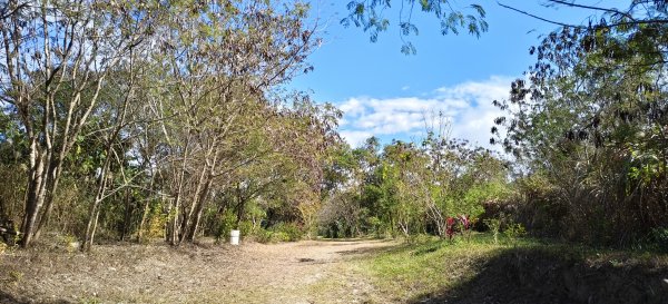 2026/01/01_大安溪峽谷步道2978130