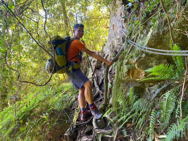 雙龍林道-巒安堂-西巒大山【一切都很美好 除了肩膀之外】2567829