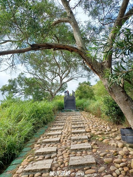 【台中烏日】S型的水圳步道古樸優美。 知高圳步道、雪蓮步道、學田山2874948
