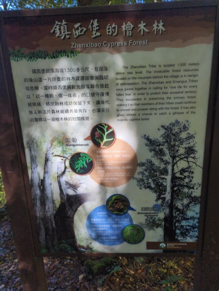 2026.01.03－鎮西堡B區神木群2981160