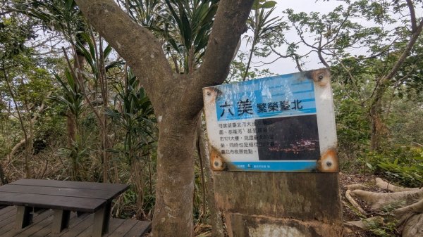 劍潭山親山步道2676462