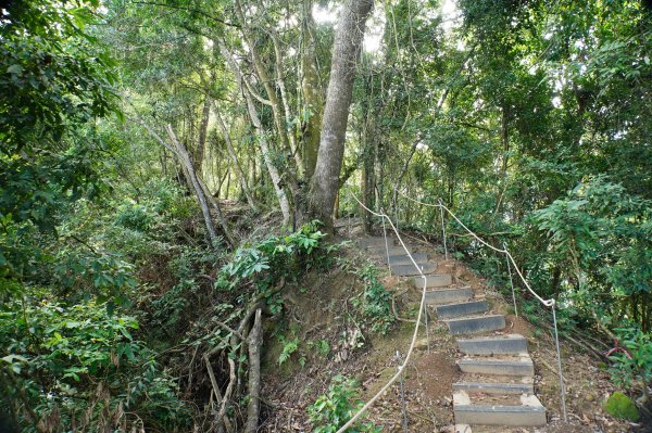台中 和平 埋伏坪山2924981
