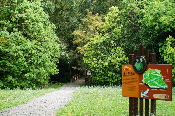 新北 烏來 志良久山3035158