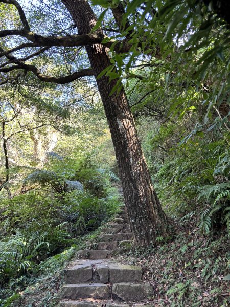 面天山、向天山、向天池2921043