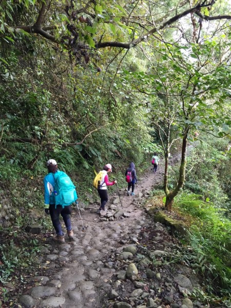 台南第一高山大凍山240799