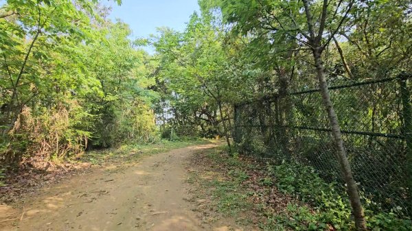 鳳山縱走五連峰3026916