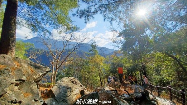 【台中和平】捎來步道x2025山谷燈光節