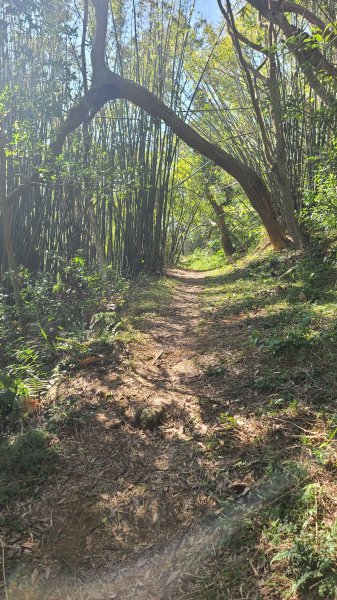 2025-0130溪和宮-大崎頭步道-鵝尾山-平溪步道-鵝尾山水田-42巷-溪山百年古圳-平菁步道2701918