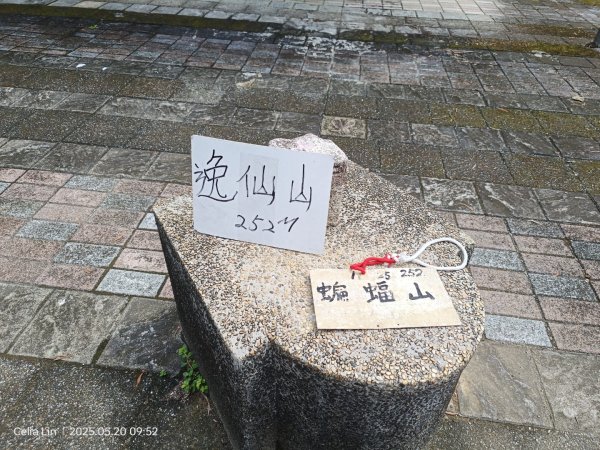 雙溪蝙蝠山-苕谷瀑布-麻竹坑山-梅竹蹊山2793946